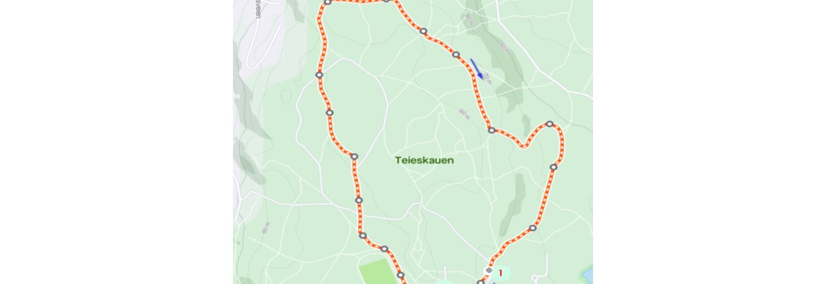 vestfold løpskarusell Teie 27. mai