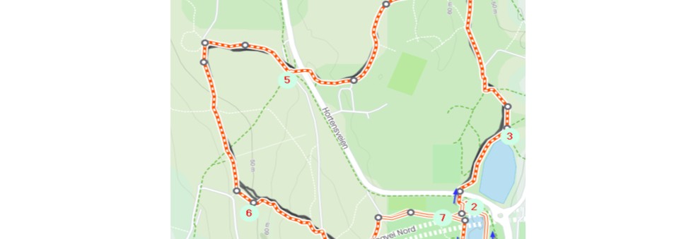 Vestfold Løpskarusell 10. juni Tønsbergmarka
