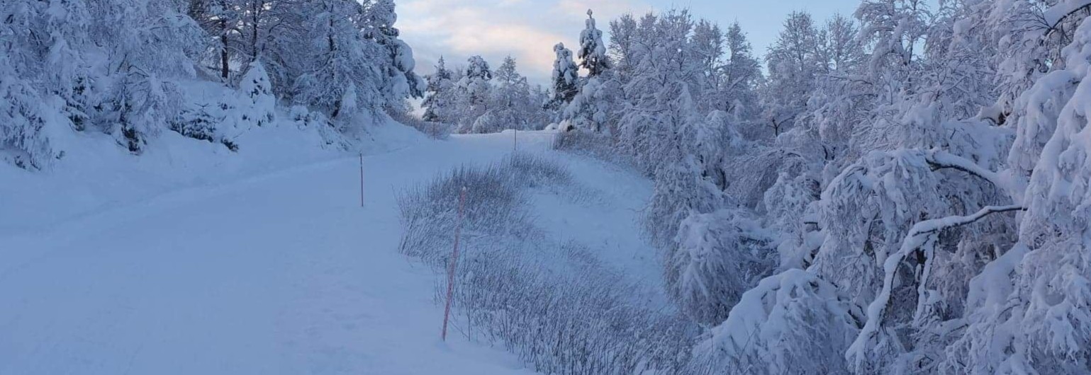 Ti på Topp Bergen vinter 2026-2027