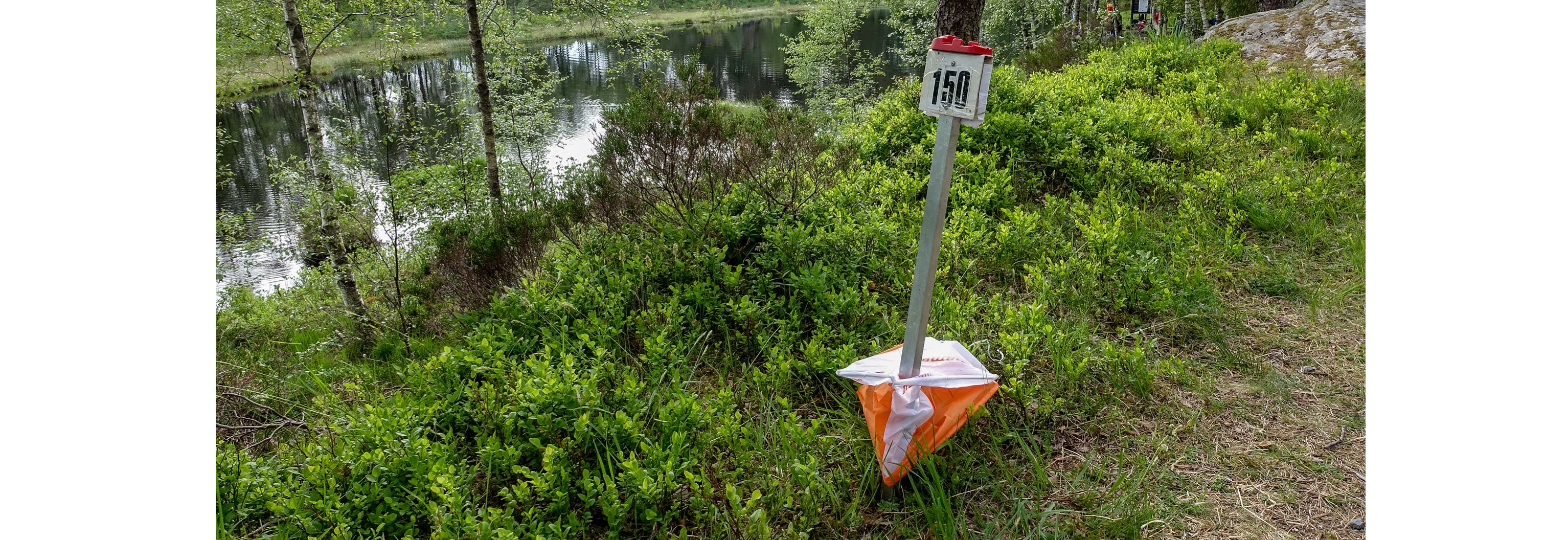 Orientering - skogsløp