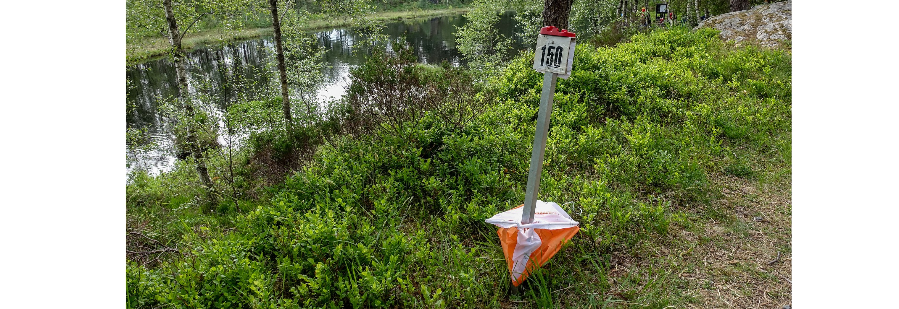 Orientering - Skogsløp