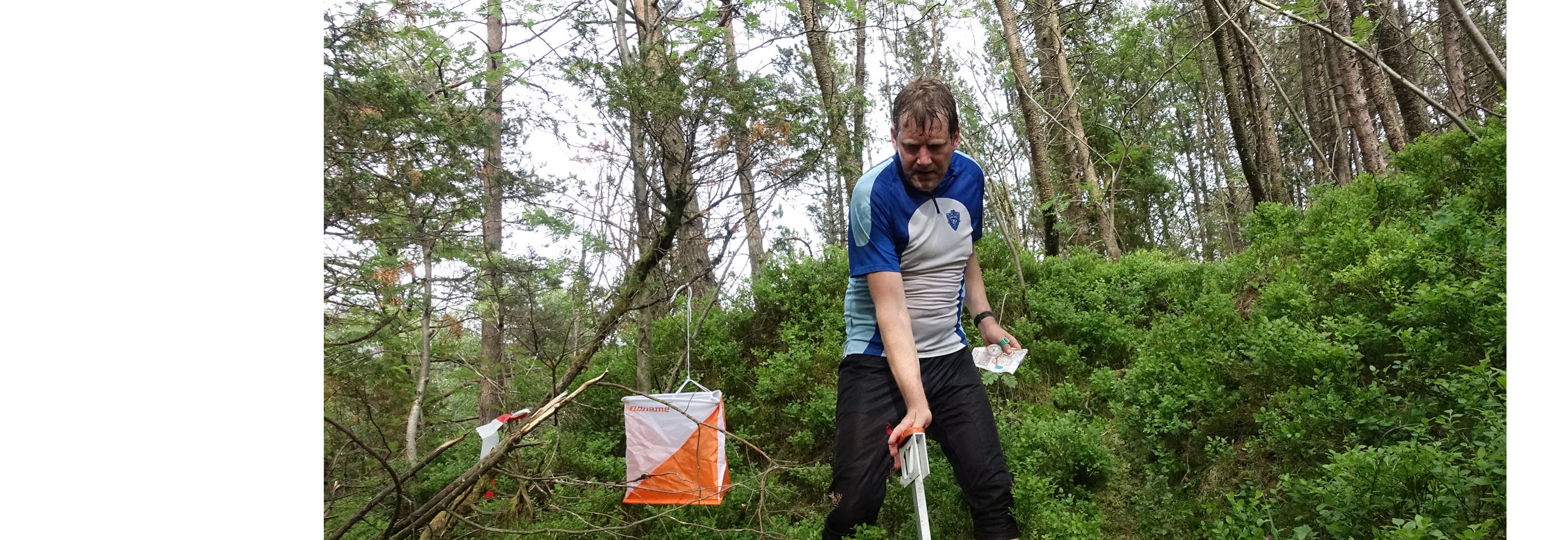 Orientering - Skogsløp