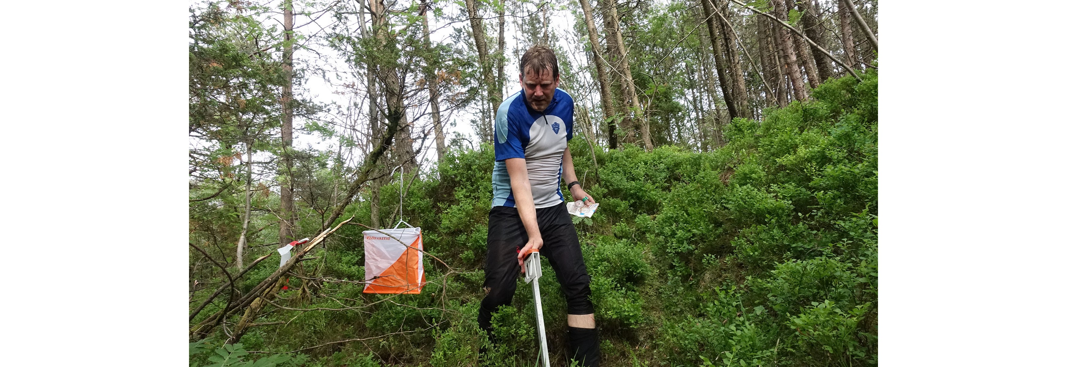 Orientering - Skogsløp