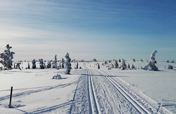 Ti på topp vinter 2022/2023