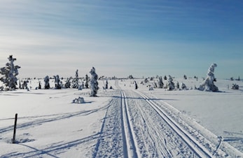 Skiteknikk kurs - Langrenn