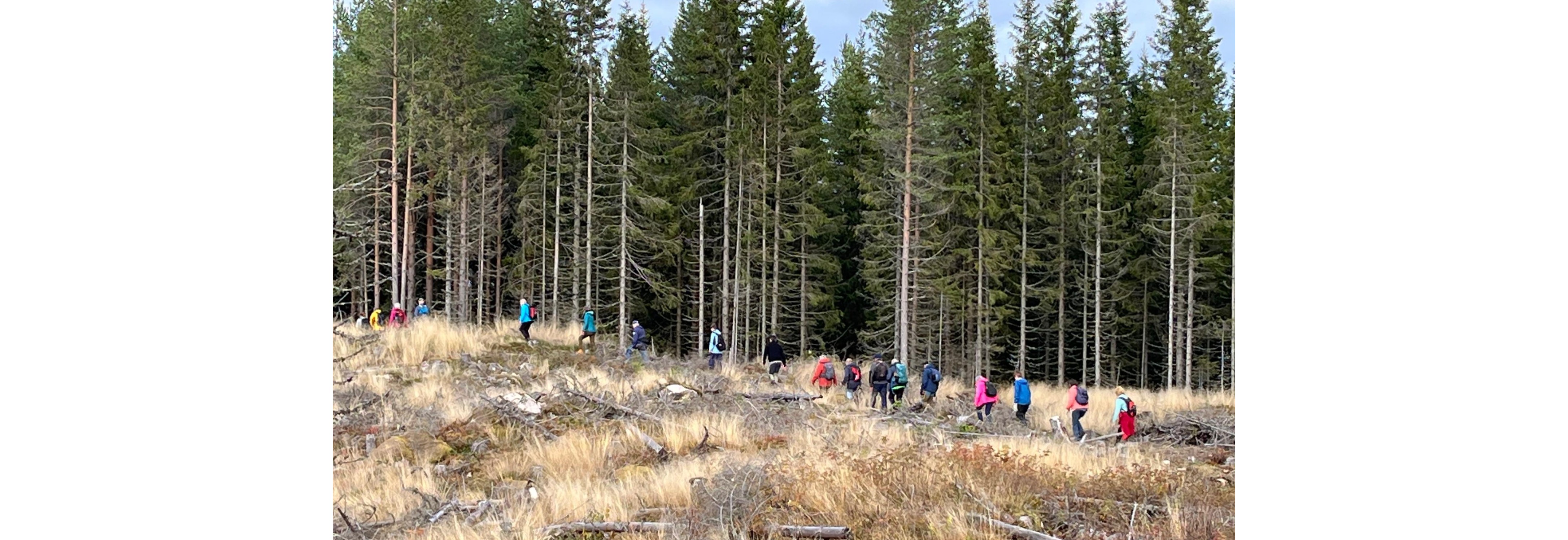 Ti på topp avslutning Elverum 2025