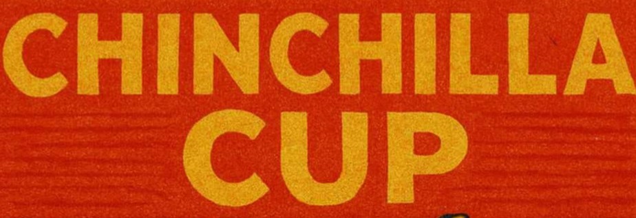 Chinchilla Cup 2026 og Lag NM U18 Mix