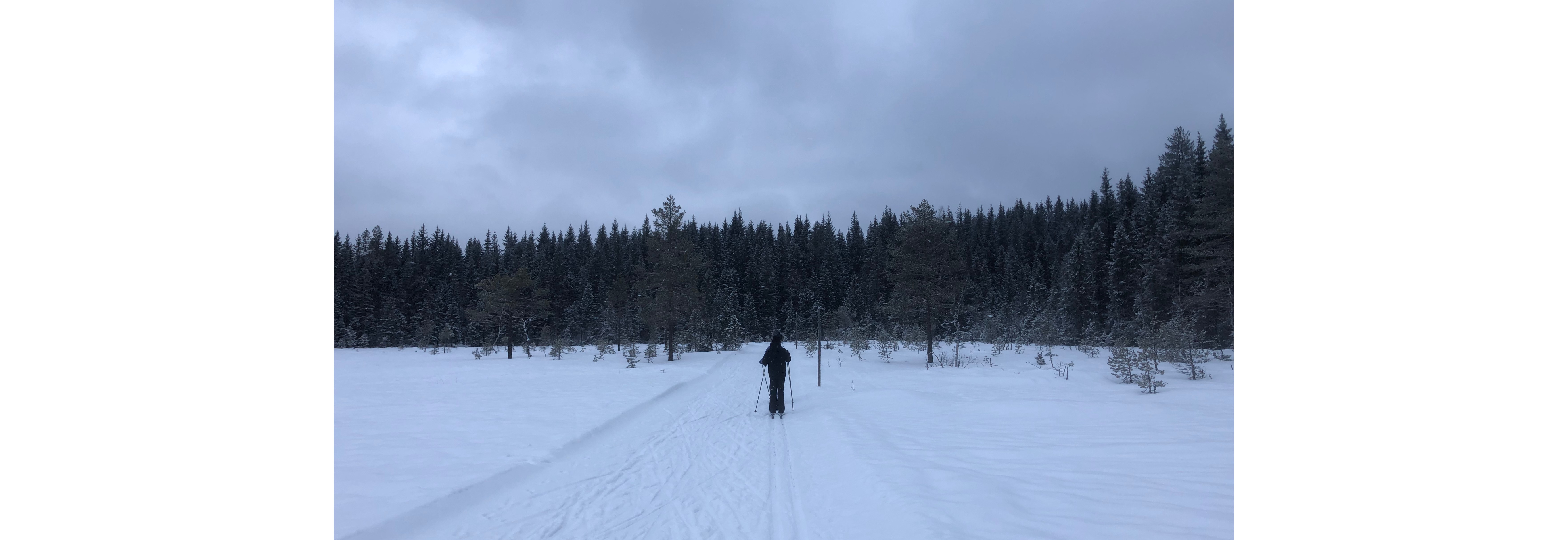 Lavterskel langrenstur / Low threshold crosscountry trip near Sognsvann