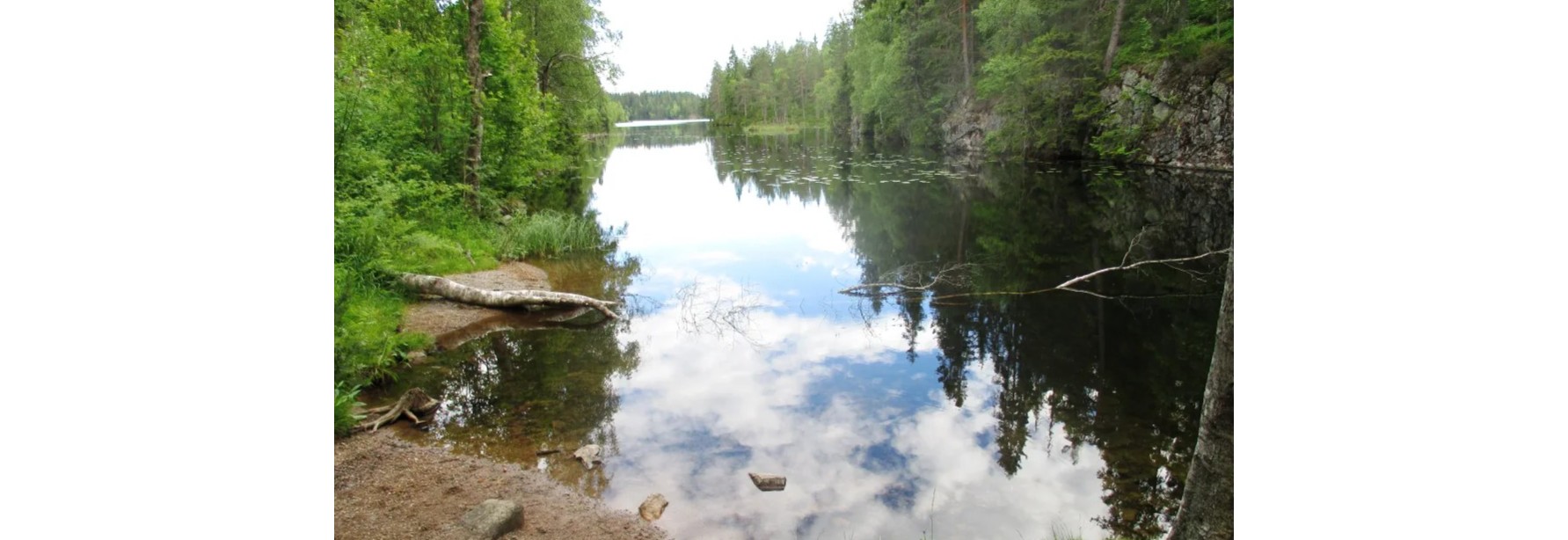 Yoga and guided meditation at Store Åklungen (Sognsvann)