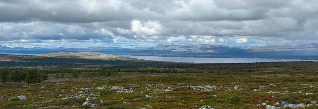 Femundsmarka