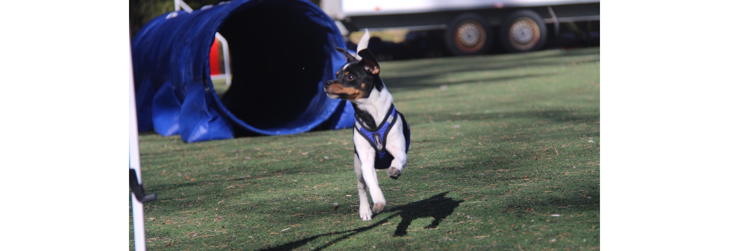 Satsningskurs: Irene Yrstad