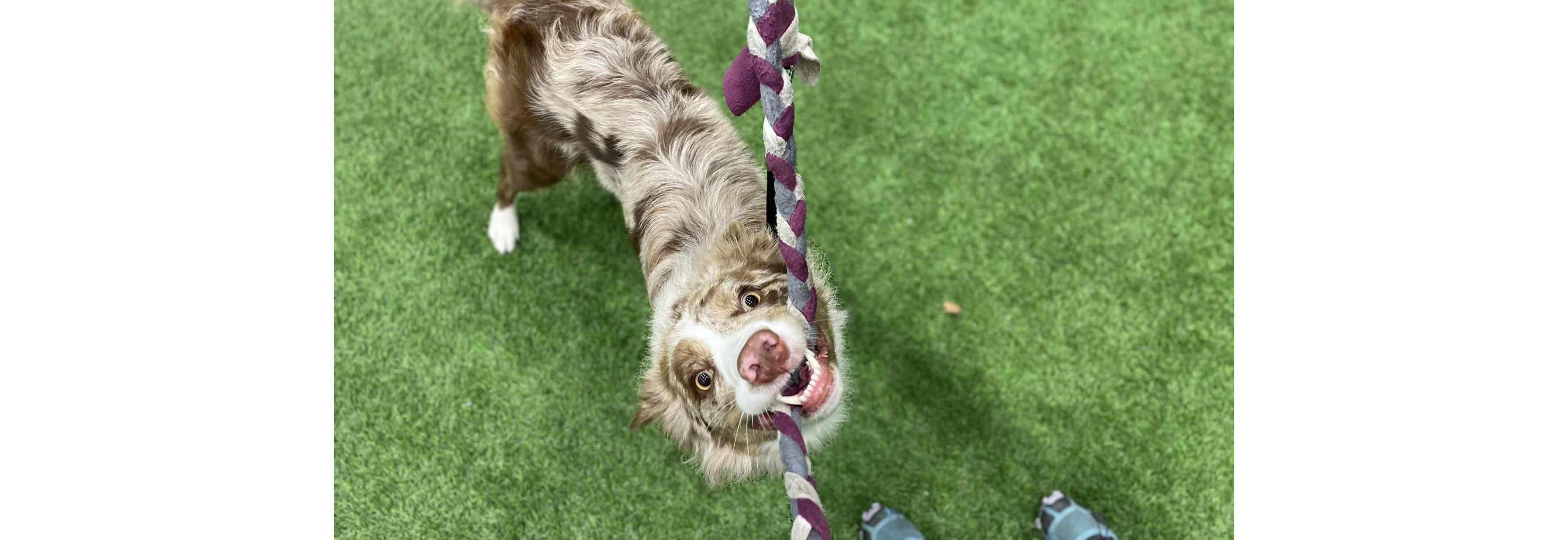 Hoppteknikk med Malene Frønes og Helene Holtskog