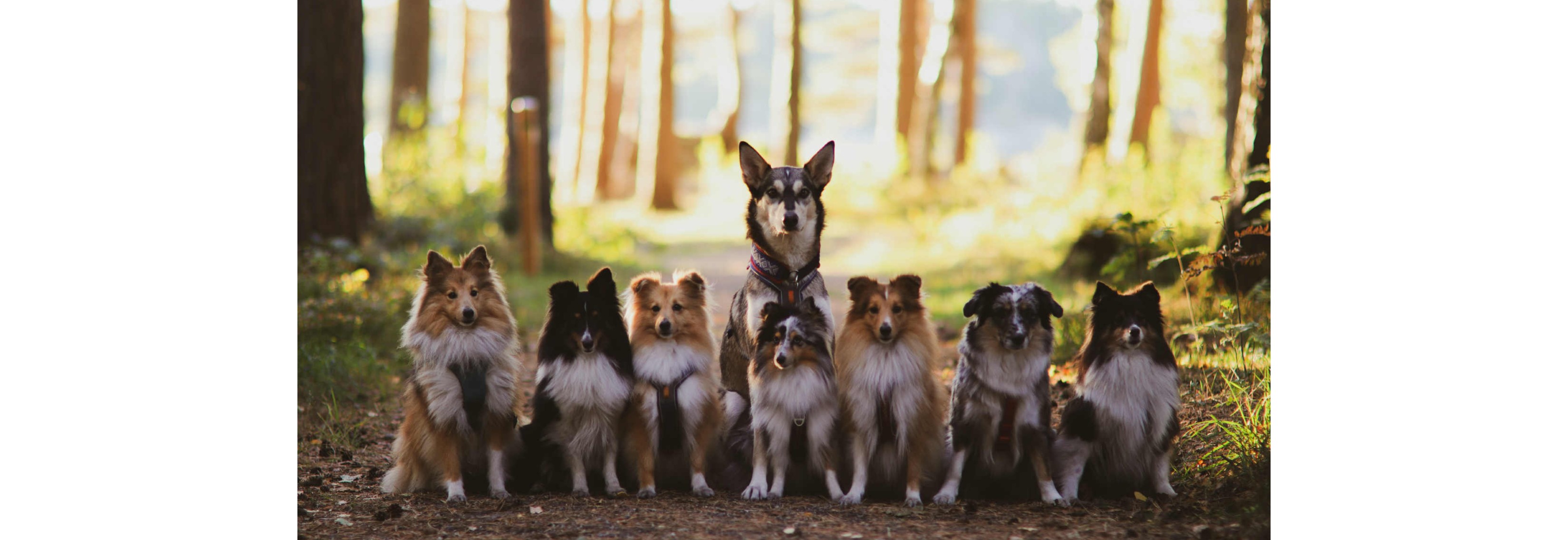 Motivasjonskurs med Malene Frønes og Helene Holtskog