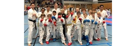 Lyst til å lære konkurransekarate?