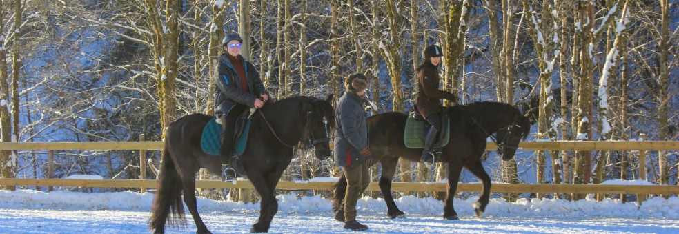 Dressurkurs med Hanne fra Trollspeilet