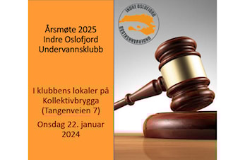 Årsmøte 2025