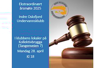 Ekstraordinært årsmøte