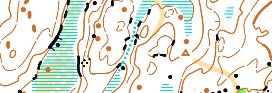 Treningsløp Svelgsmosan