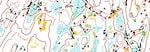 Mossemesterskap langdistanse - Langemyr (Svinndal)