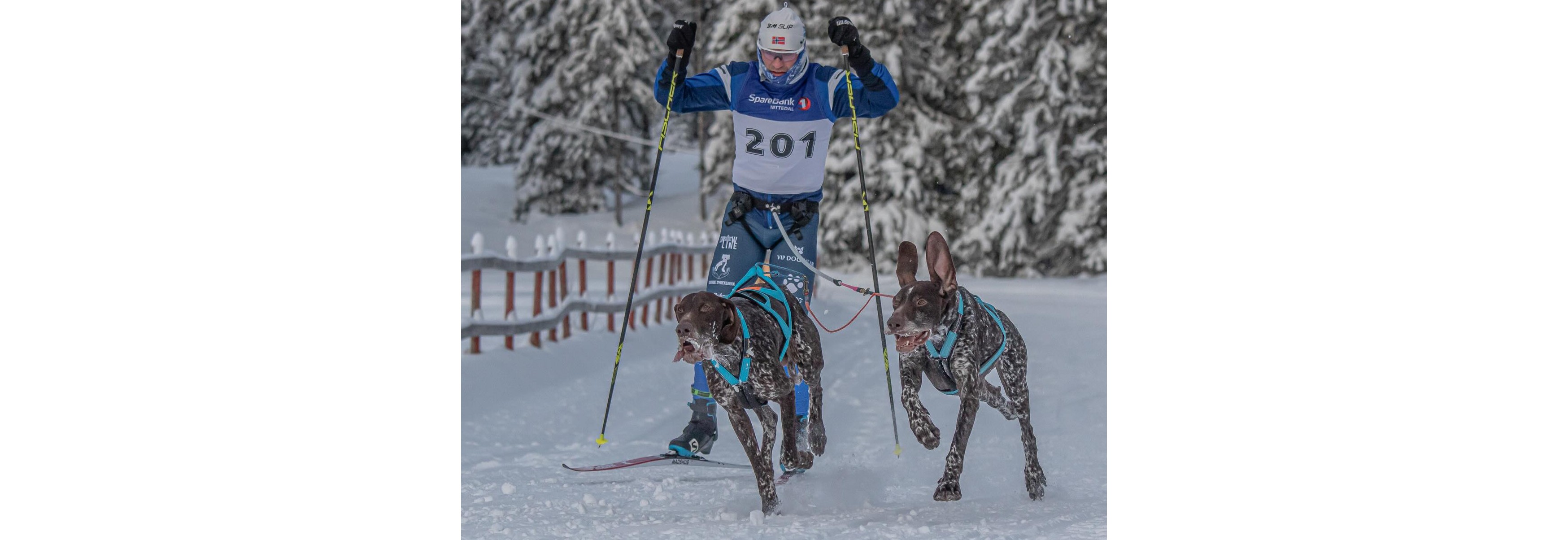 Åpen landslagssamling med landslag nordisk stil