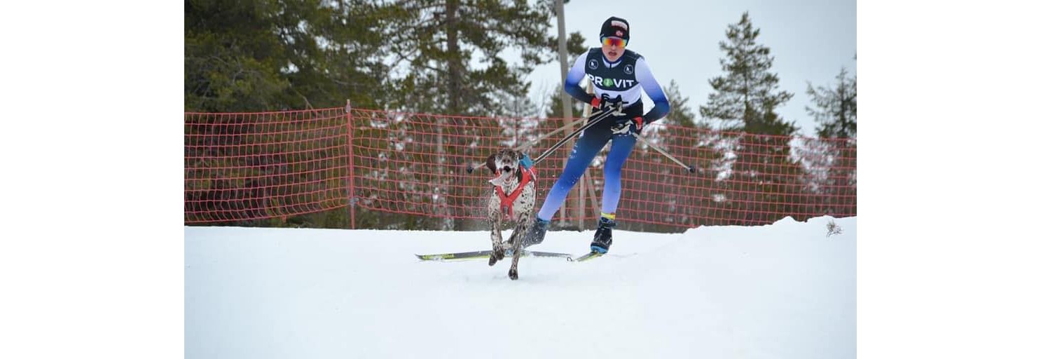 Nordisk stil: Askerløpet NC