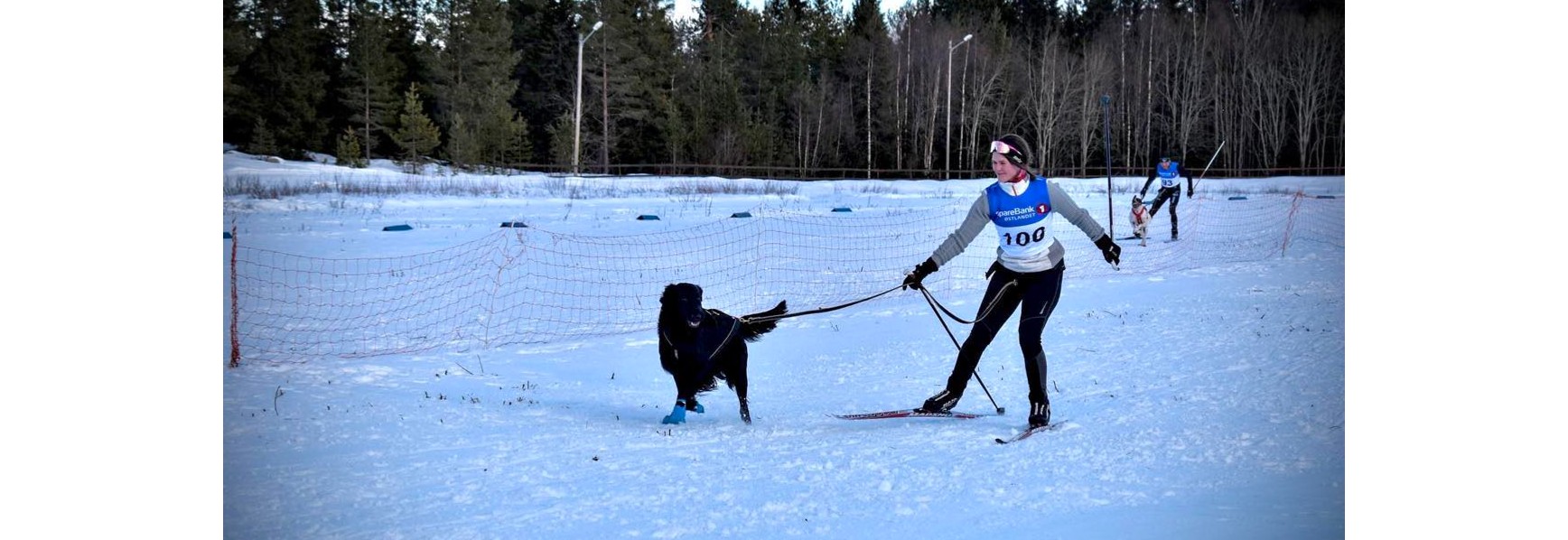 Nordisk stil: TrønderCup, løp nr 2 - Henningsvola. Lavterskelløp