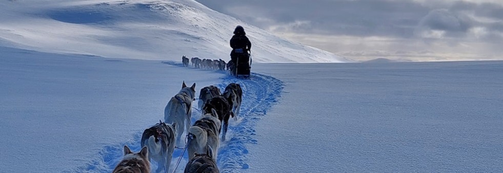 Webinar: Delta i ditt første langdistanseløp! Med Hannah Lyrek