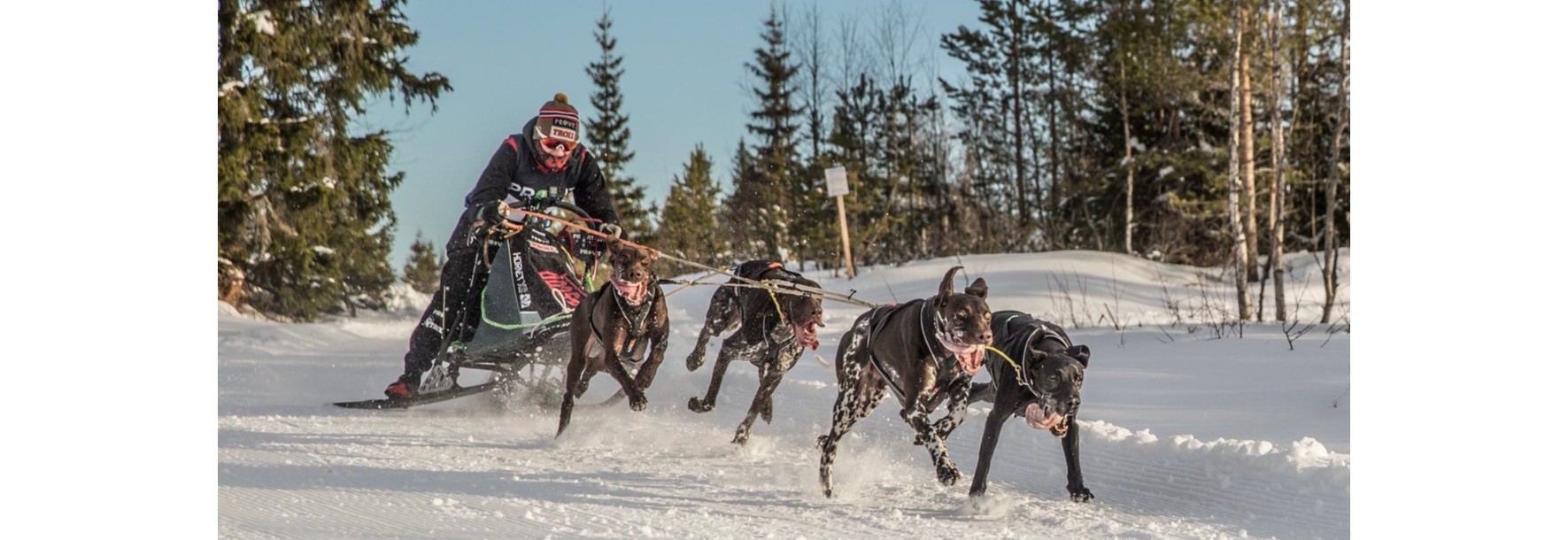 Slede sprint: TKS inviterer til rekruttsamling slede sprint!