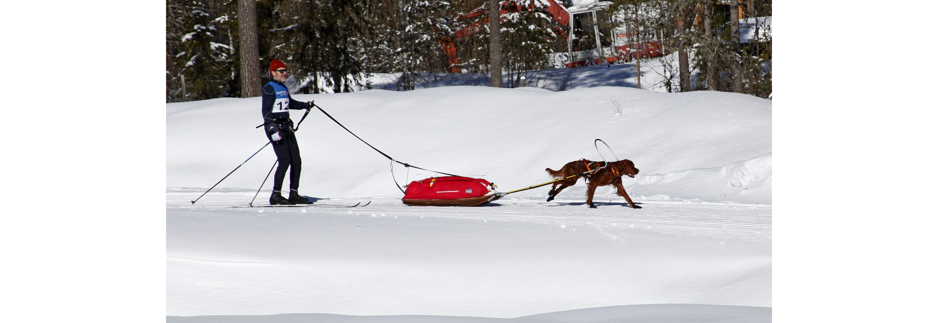 Nordisk stil og slede: OMTK Sweepstake NC