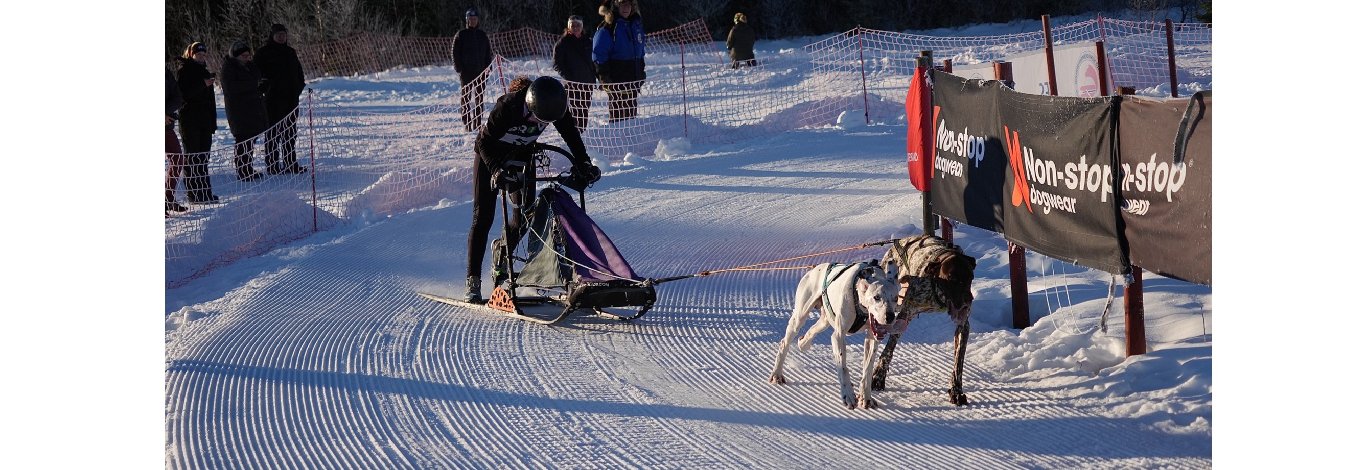 Nordisk og slede: Lavterskelløp på Gåsbu