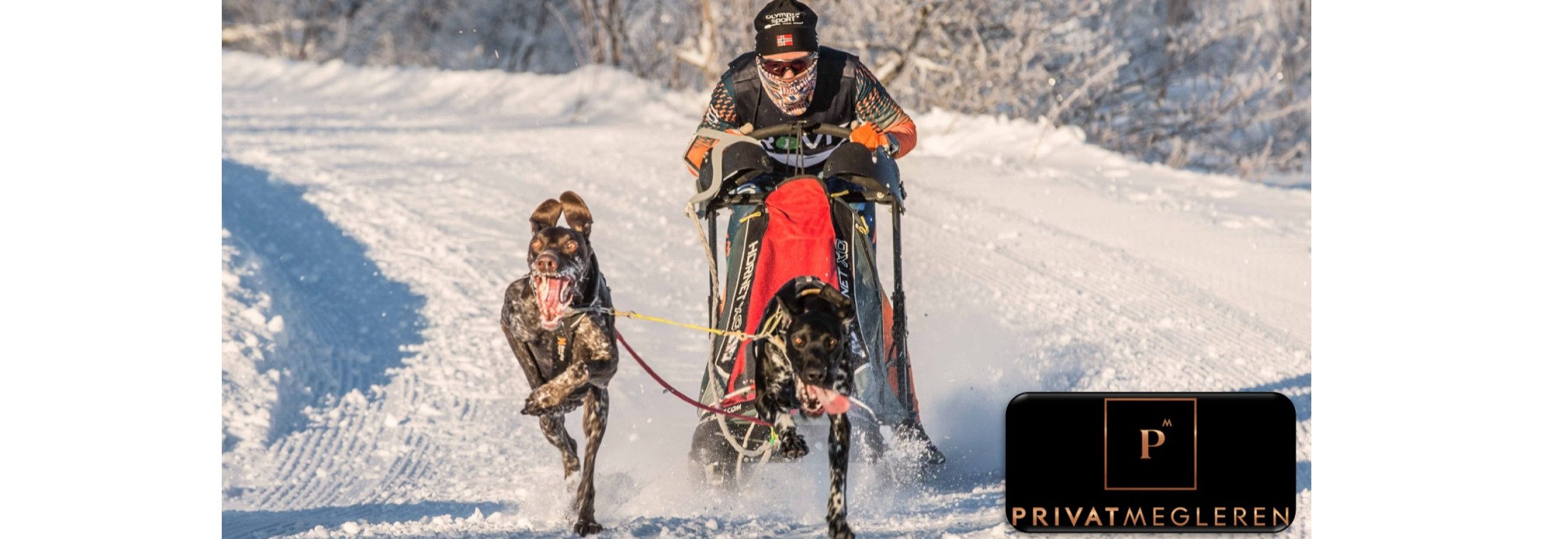 Nordisk og slede: Privatmegleren stafetten, lavterskelløp