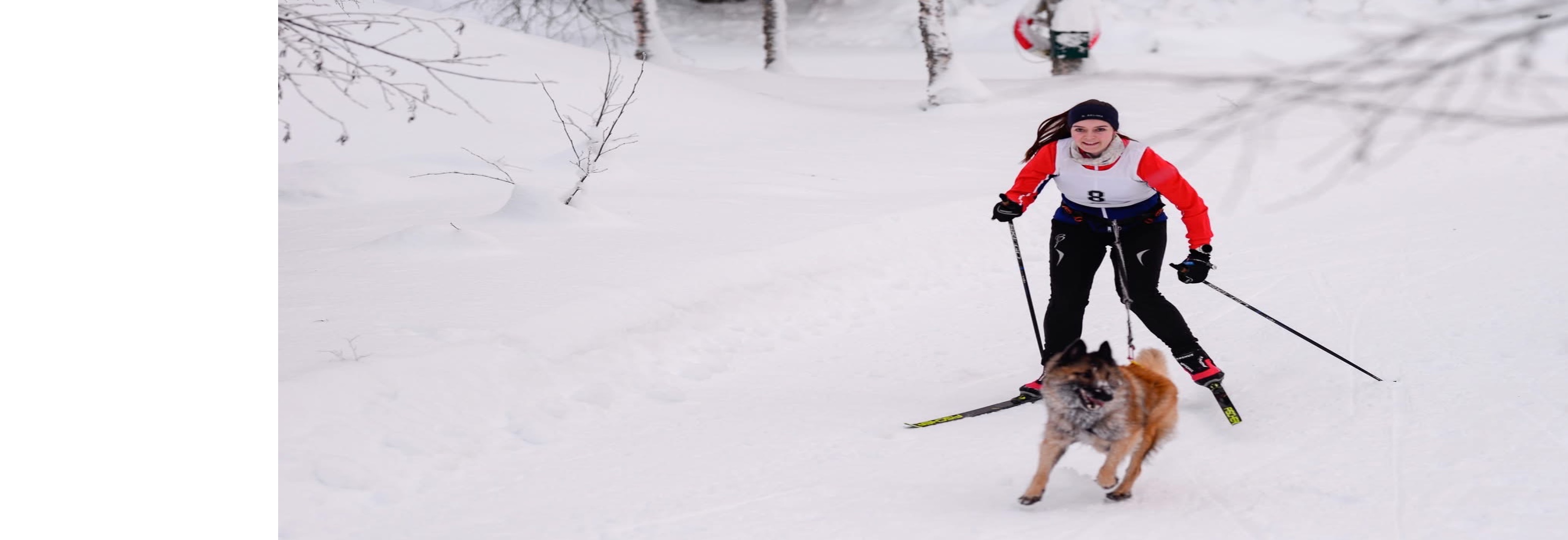 Nordisk stil: TrønderCup løp nr 3. Selbuskogen. Lavterskelløp
