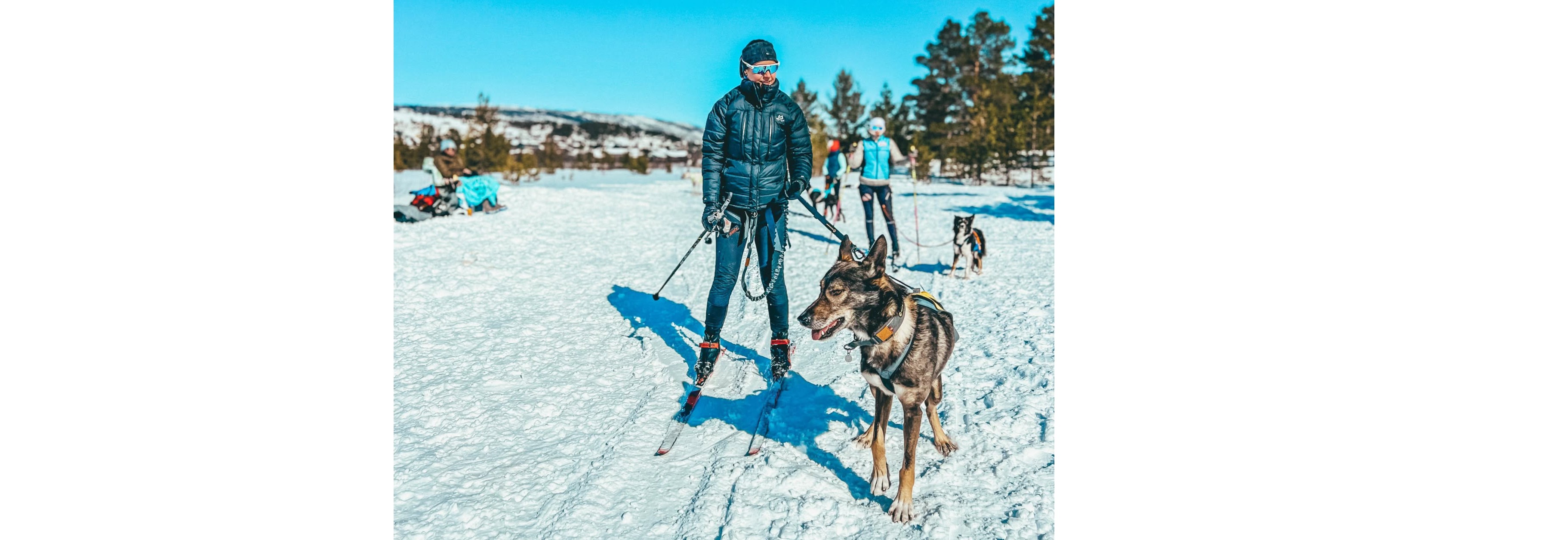 "Get into skijouring" - med Hamar Trekkhundklubb og Non Stop Dogwear