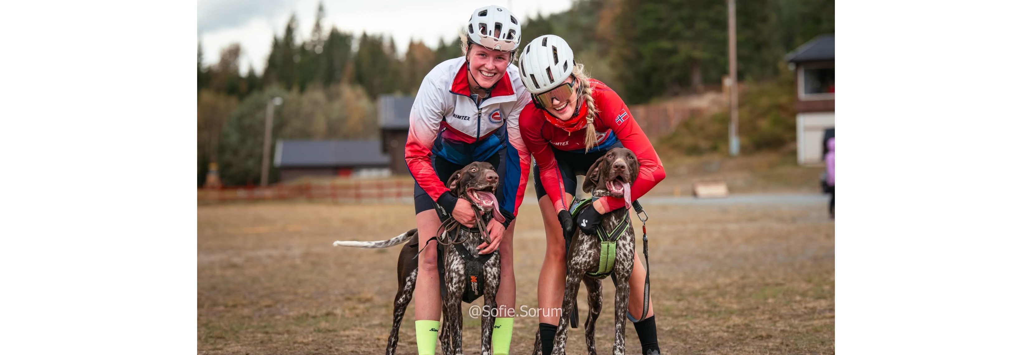 Drammen Barmarkskarusell #1