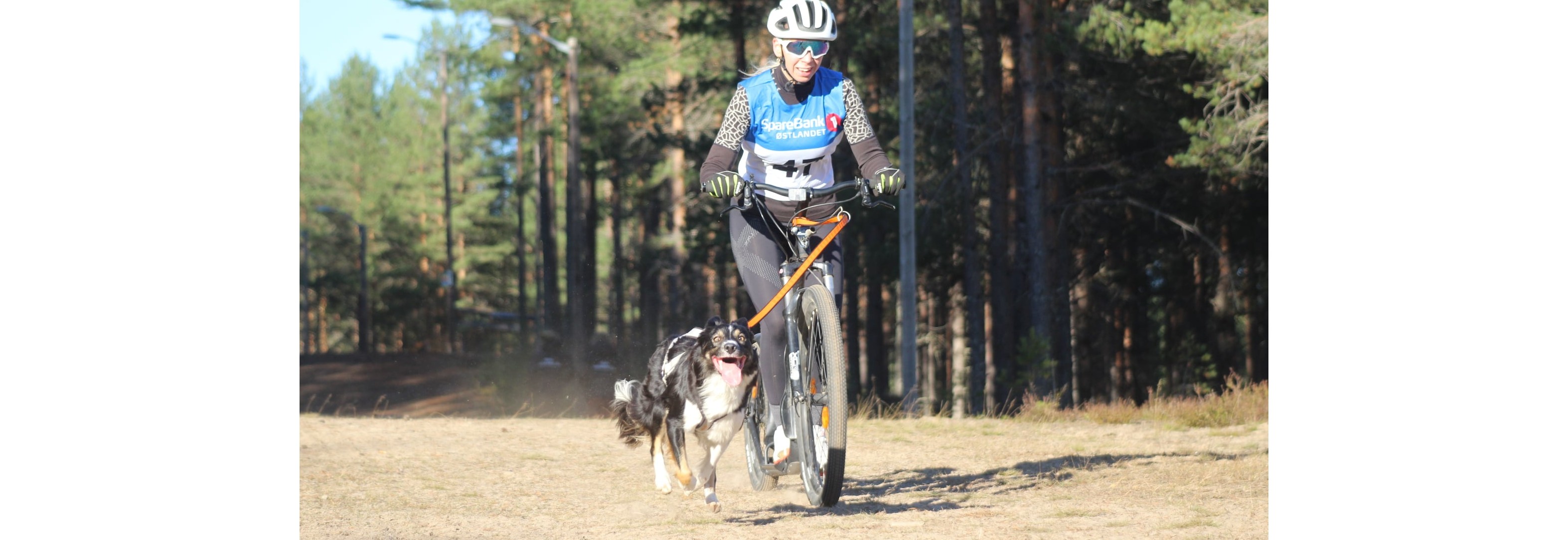 Drammen Barmarkskarusell #2