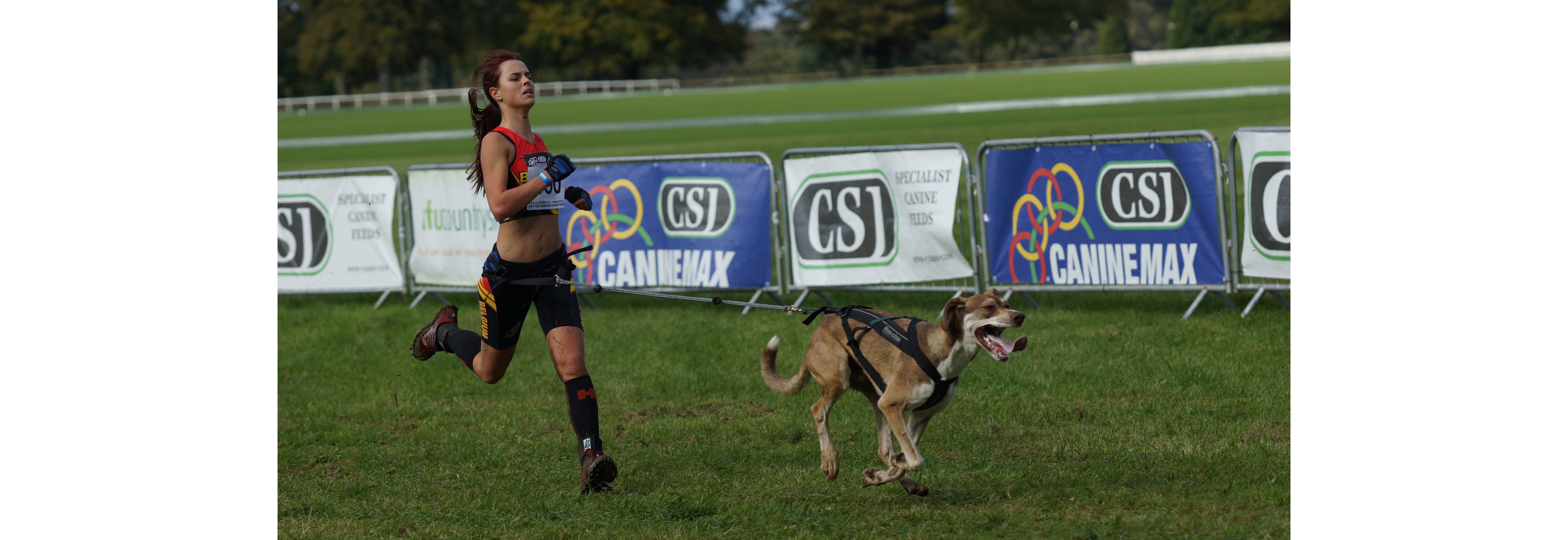 Drammen Barmarkskarusell #3