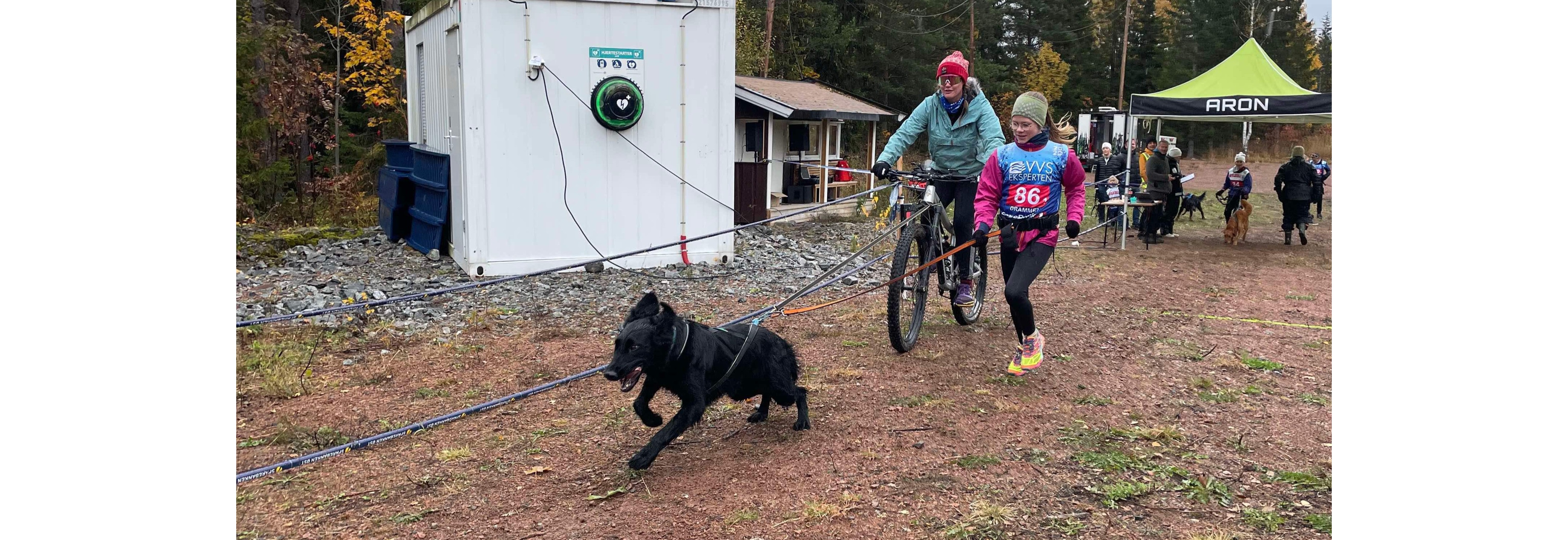 Drammen Barmarkskarusell #4