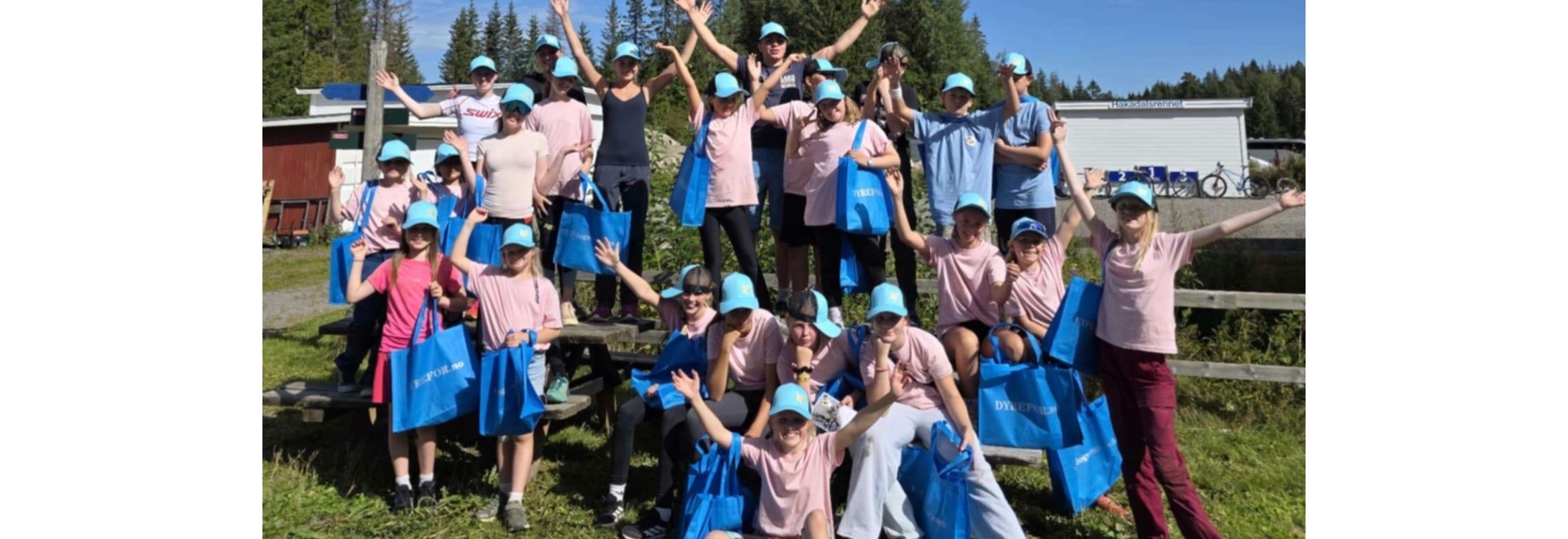 Sommerhundekjøreskole for barn