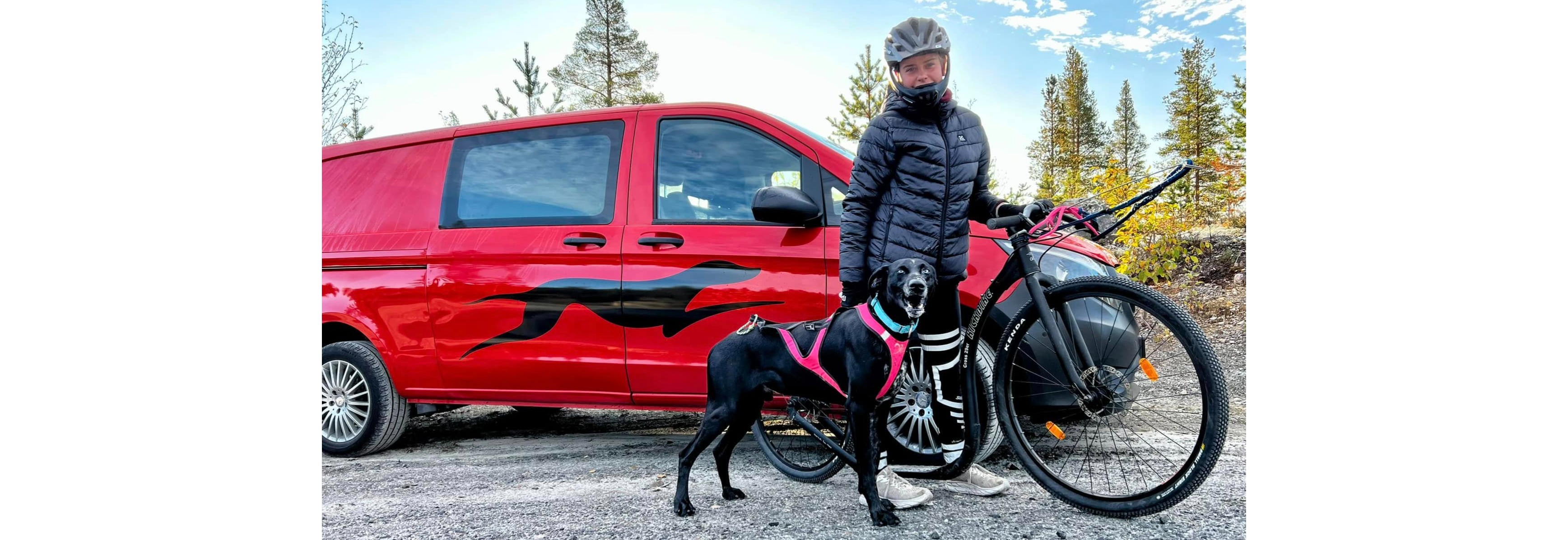 Rekruttsamling 11 - 16 år