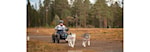 Barmarksløp i Selbu, Åsøyasprinten, Lavterskelløp, Trøndercup #1
