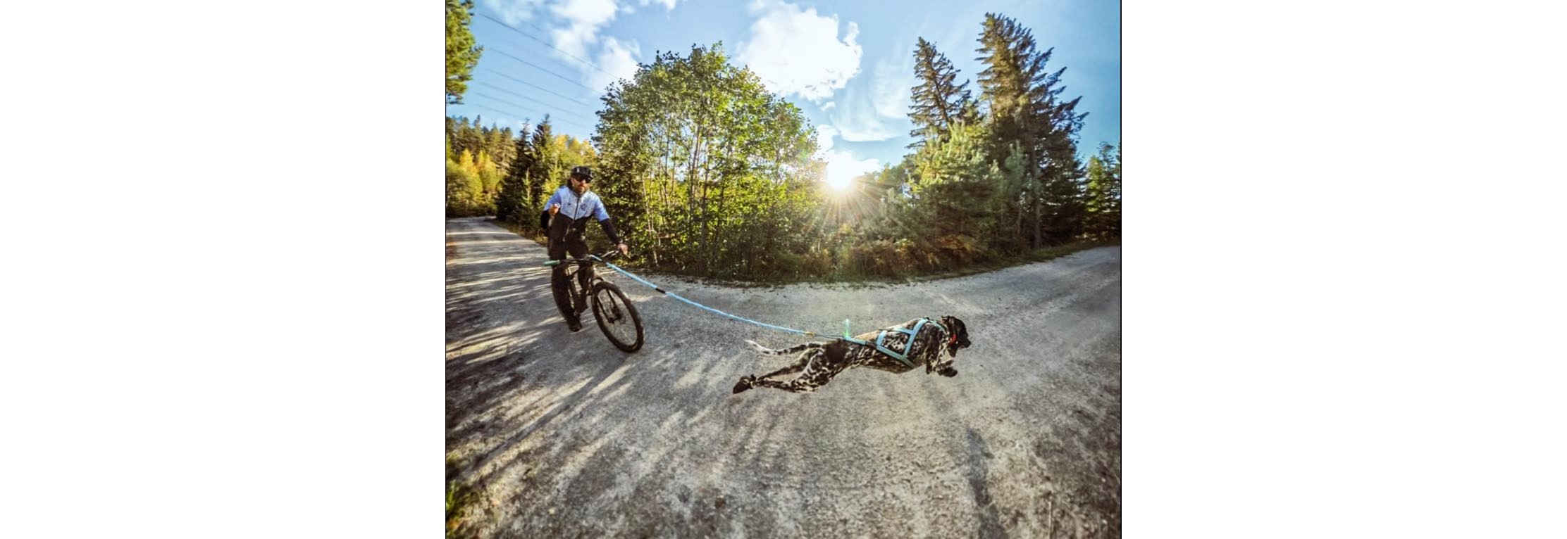 Barmarksløp i Trondheim, Lavterskelløp, Trøndercup #2