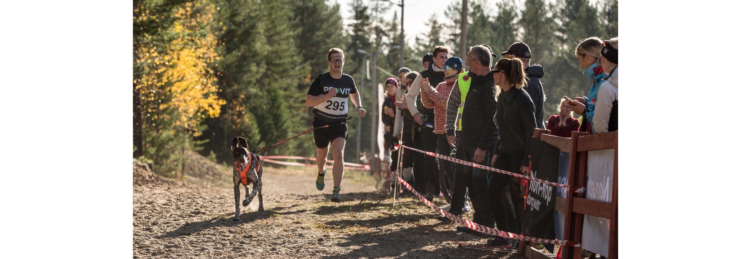 Barmarksløp i Leksdal, Lavterskelløp, Trøndercup #3