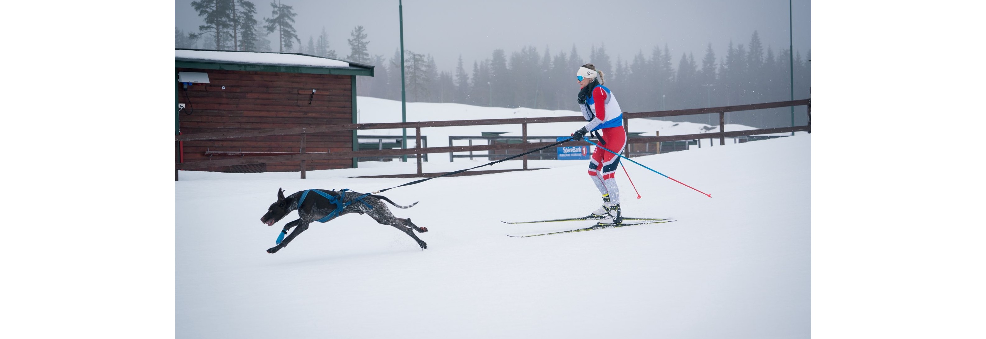 NM nordisk stil del 2, Trysil 2027