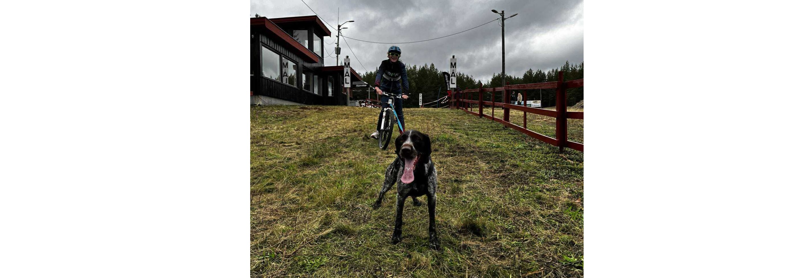Barmark: Lavterskelløp i Oslo