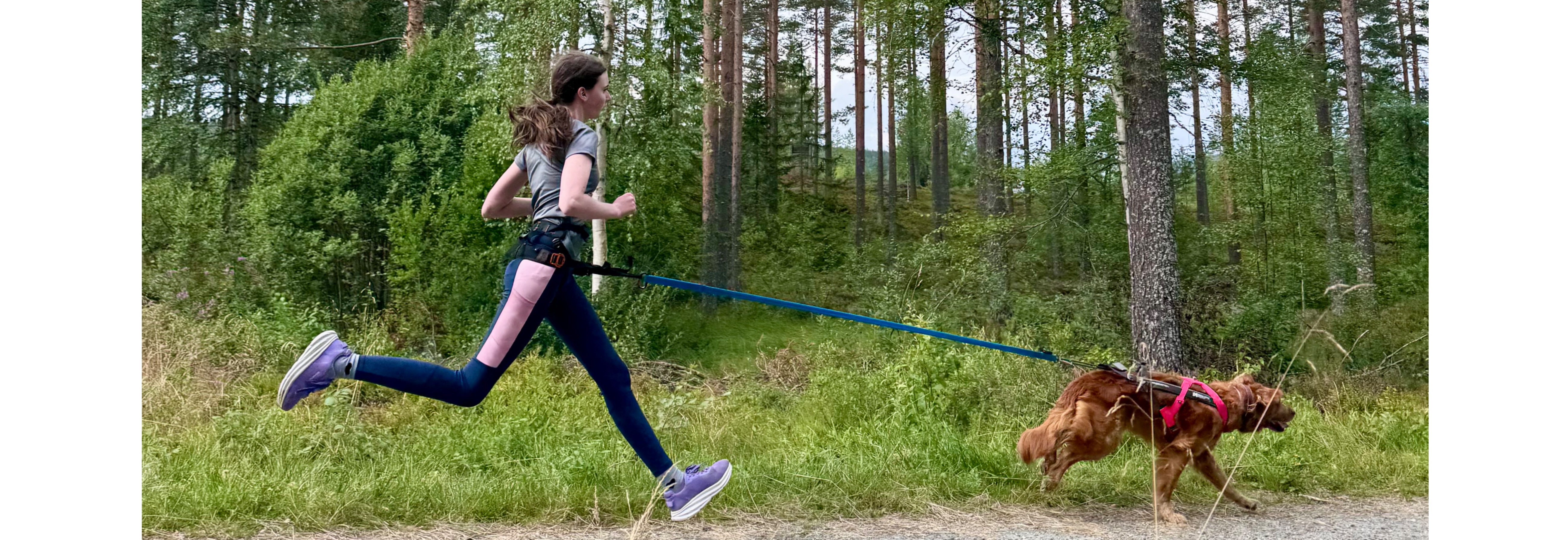 Fart og ferdighet-løp på barmarksløp på Stavåsen