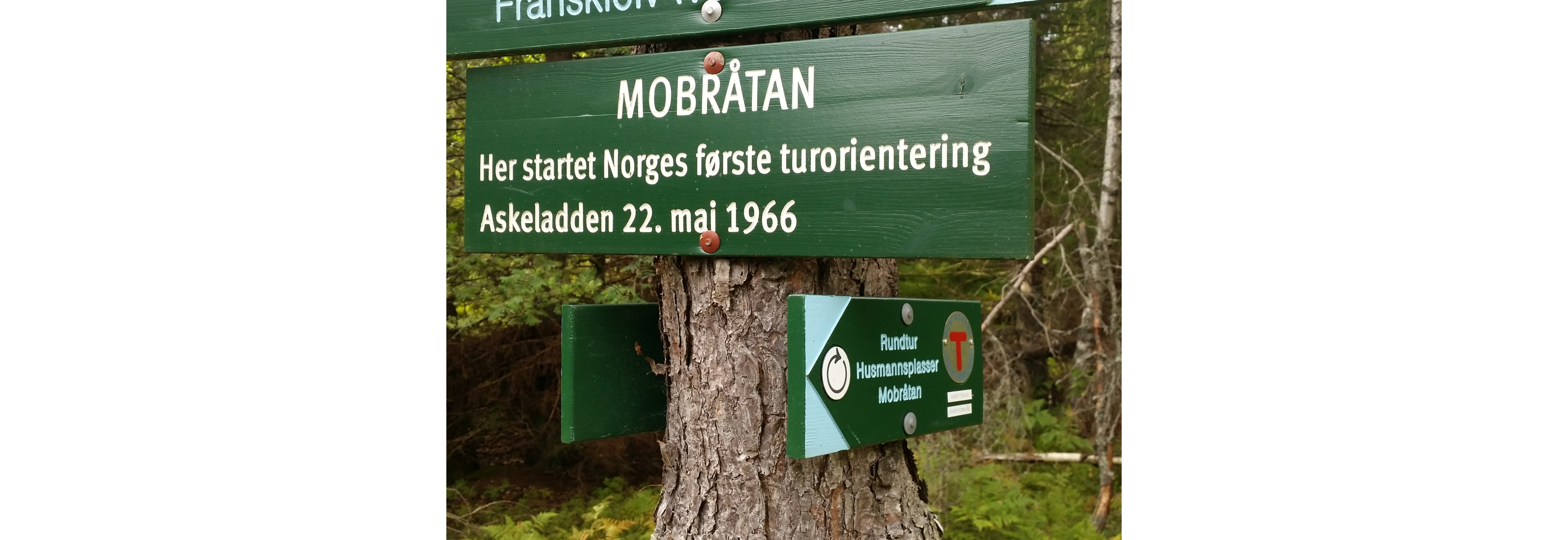 Askeladden 60 år!