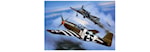 Operation Overlord (D-day) - Warbird Scramble