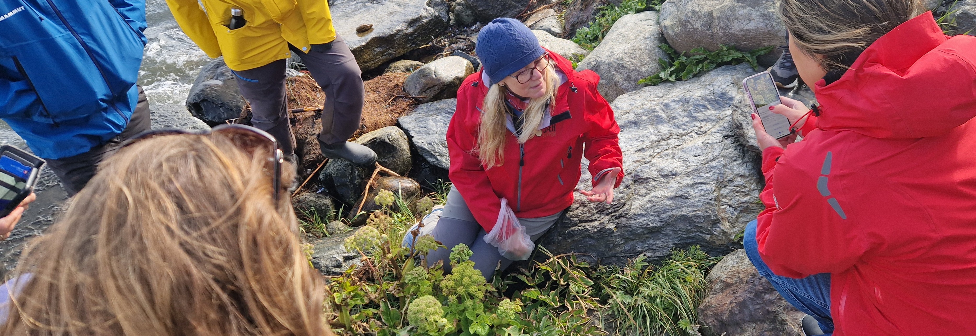 Plantevandring med Kristine Enger