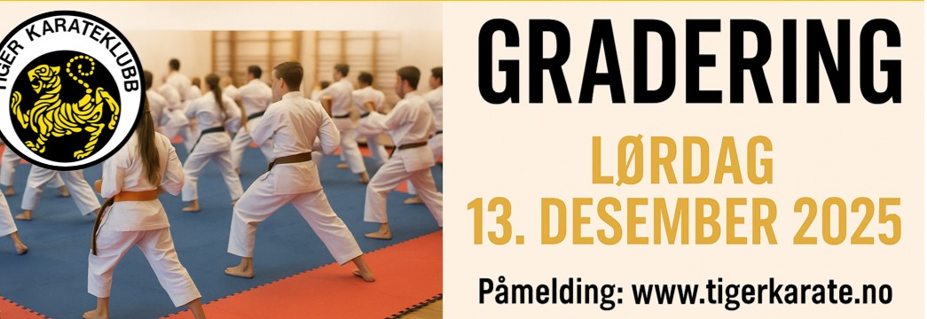 Gradering for Barn med hvitt belte og gul stripe (Fredagspartiet)