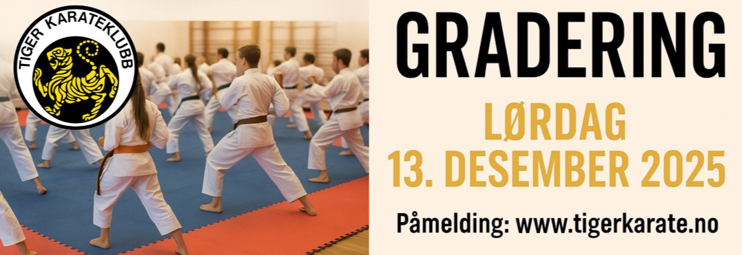 Gradering for Barn med grønt belte, blått, lilla og brunt med og uten stripe